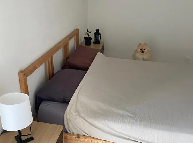 Avec Fontenay-le-Comte